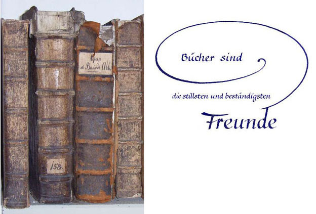 Buch 2013 "Freunde"